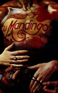 Mandingo