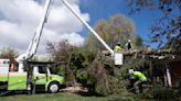 Winds around 100 mph around Colorado Springs leave trail of damage