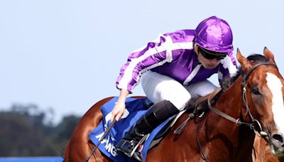 Gary Carson: Drop in class puts Diego Velazquez in the frame for Meld Stakes at Leopardstown