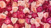 18 Rose Color Meanings To Avoid Sending the Wrong Message