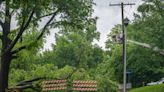 Does Evergy trim trees before they fall on power lines? How to report potential hazards