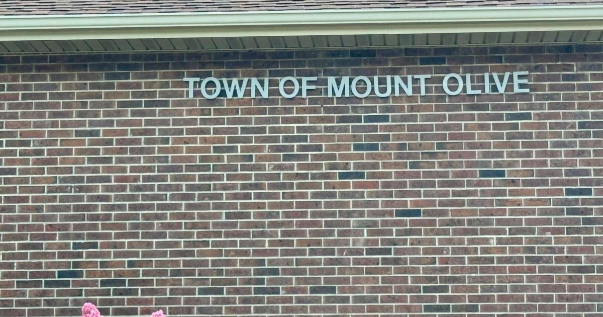 Commissioner Delreese Simmons of Mount Olive censured from board after voicing concerns to the public