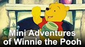 Mini Adventures of Winnie the Pooh