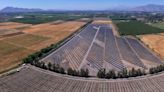 IM2 Energía Solar pone en marcha “La Colonia”, energía del sol para los hogares de la Región Metropolitana