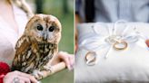 Forget Toddlers Carrying Tiny Pillows — Birds of Prey Are the Latest Trend in Ring Bearers