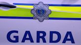 Gardaí arrest nine people in connection with Dublin riots following city search