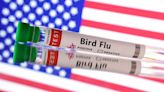 Colorado reports human case of bird flu