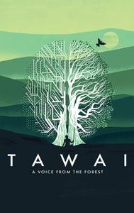 Tawai: A Voice From the Forest