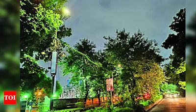 BMC to install 1,000 LED street lights in Salt Lake Kolkata | Kolkata News - Times of India