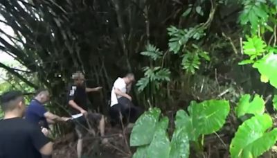 男童未入學！驚揭生父「悶死嬰後埋屍」 基隆山區挖出骨骸