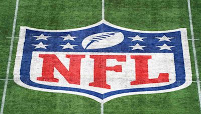 NFL Fans Worry New Proposal Could Let Private Equity Erode Team Integrity