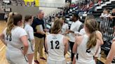 Basketball state rankings: Dansville girls move up to No. 1, Haslett and DeWitt in top 10