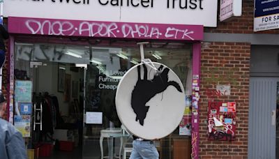 Banksy’s howling wolf artwork removed less than an hour after unveiling