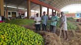 Rythu Sangham demands scrapping of commission system in Anantapur orange market yard