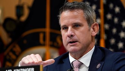 Former GOP Rep. Adam Kinzinger endorses Biden, calling Trump a 'direct threat' to country