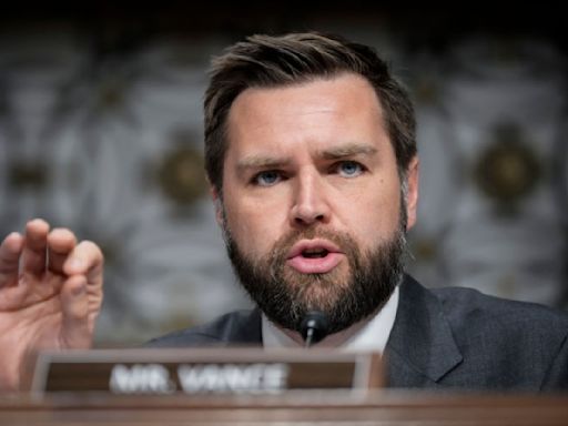 "No Physical Commitment To The Future Of This Country": J.D. Vance Said Childfree Americans Shouldn...