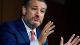 Ted Cruz files bill to protect IVF