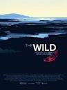 The Wild