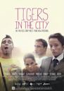 Tigers in the City