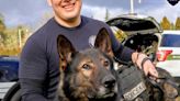 Springfield Police Department mourns loss of decorated and beloved K9 officer