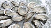 Missouri man dies after eating raw oysters. How to avoid the disease that killed him