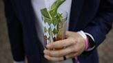 Here's how to make your own mint juleps for watching the Kentucky Derby