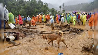 One Of The First Informers Of Wayanad Landslide Dies Before Rescuers Reach Her