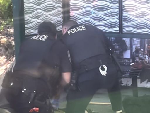 Video shows Seattle officers beating a man with batons at a bus stop