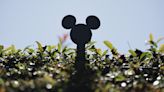 Disney Embroiled in a Proxy Battle