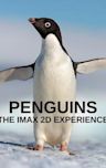 Penguins (film)