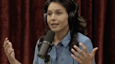 Tulsi Gabbard tells Joe Rogan she was shunned by Democrats ‘over and over’ for appearing on Fox News