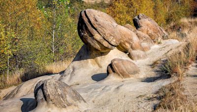 Stones that are alive? Romania's mysterious rocks grow and reproduce; discover how