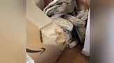 Woman can't cope with how Amazon delivers parcel—'Lost the plot completely'