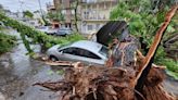 Caos en los barrios: vecinos angustiados, árboles arrancados de raíz, calles cortadas y autos destrozados