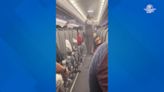 Watch: Flight delayed by mosquito swarm in the passenger cabin