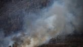 Wildfires ravage woods in Spain's Catalonia as heat-wave bites