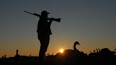 Pa. hunters faced with shorter goose season starting this fall