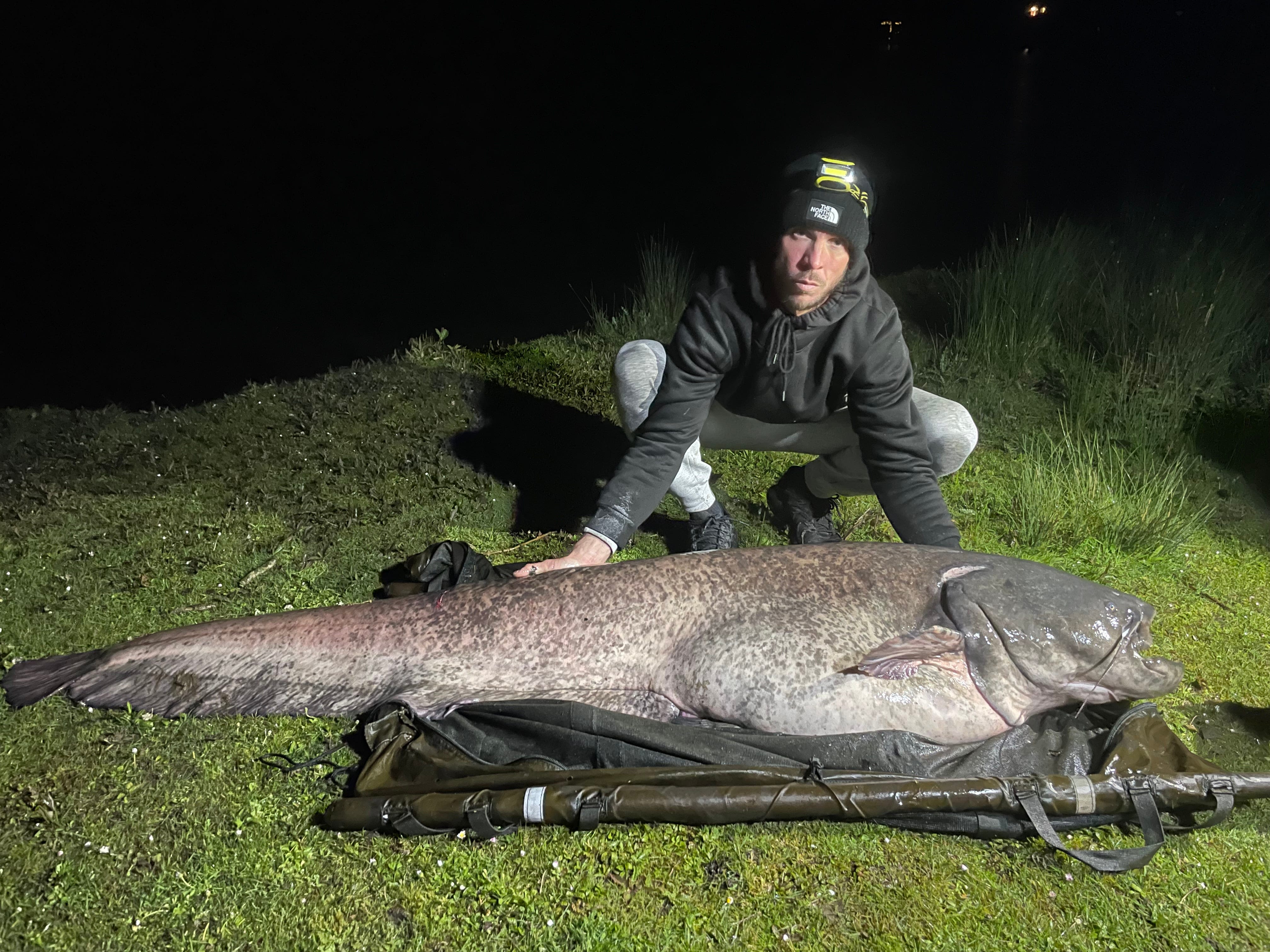 'It was a monster': Record-breaking 143-pound catfish reeled in at UK lake