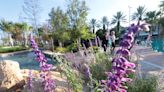 Riverfront reborn: Daytona Beach's Riverfront Esplanade is complete and open to the public