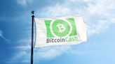 Bitcoin Cash (BCH) Surges 33.9% in 24 Hours on EDX Listing, S. Korean Trading Spike