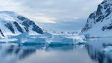 Alarma por la cantidad de microplásticos en la Antártida: cómo afectan al medio ambiente