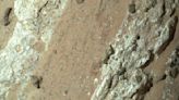 Has NASA’s Mars rover Perseverance found evidence of ancient life?