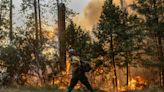 California wildfire burns over 14,000 acres and forces evacuations as it reaches Sierra National Forest