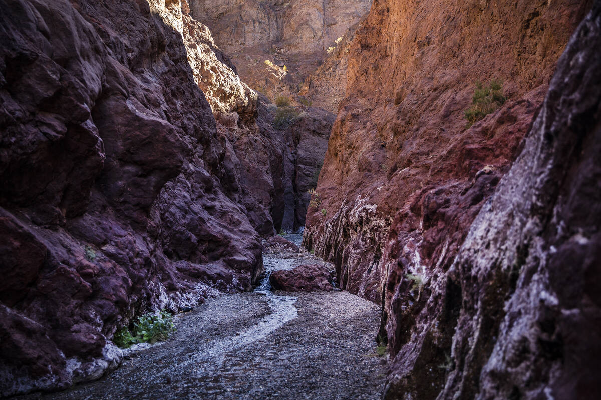 ‘Who pooped in the Hot Springs?’: Arizona Hot Springs on high alert for fecal bacteria