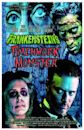 Frankenstein's Patchwork Monster