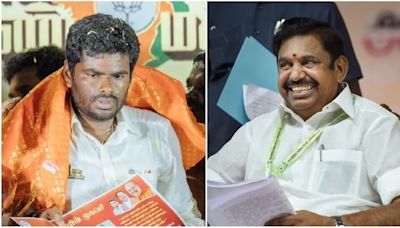 'An image has been created...': Annamalai, EPS trade barbs over Lok Sabha setback in Tamil Nadu