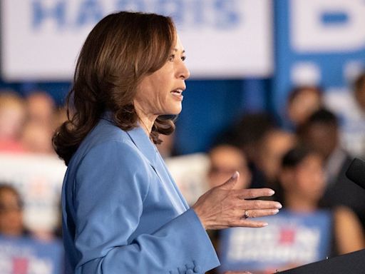 Democrats wrestle with whether Harris would be stronger than Biden