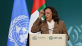 Kamala Harris announces $3bn from US for climate action she stands in for absent Biden at Cop28