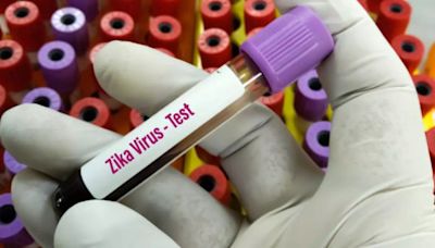 Pune Sees An Increase In Zika Virus Cases; Know Symptoms To Watch Out For