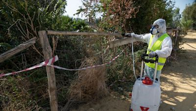 Muere la mujer de 86 años contagiada del virus del Nilo en La Puebla del Río, Sevilla